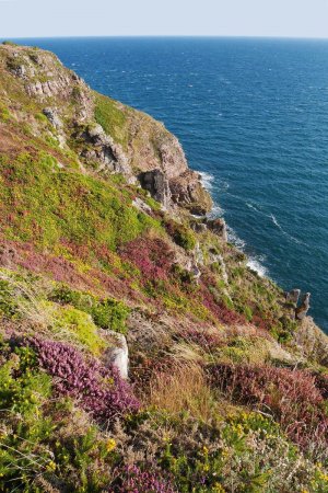 Falaises, près du belvédère de la Fauconnière.