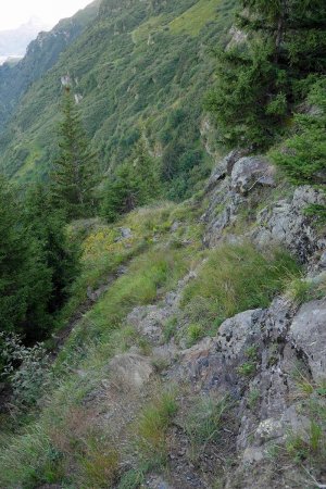 La sente zigzague sur un terrain escarpé.