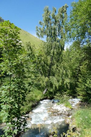 Torrent de la Platière