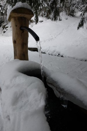 le bachal dans le virage de la piste forestière