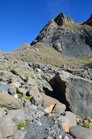 Le haut du Vallon est peuplé de couleurs 