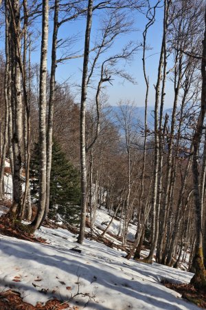 Bascule côté nord