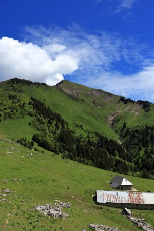 Chalets d’Orgeval