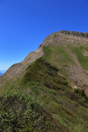 Pointe des Arces