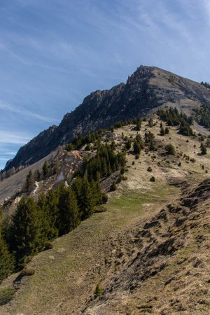 Dans le rétro