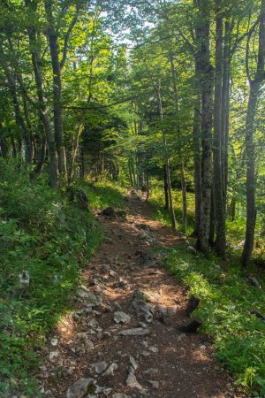 Sentier très agréable