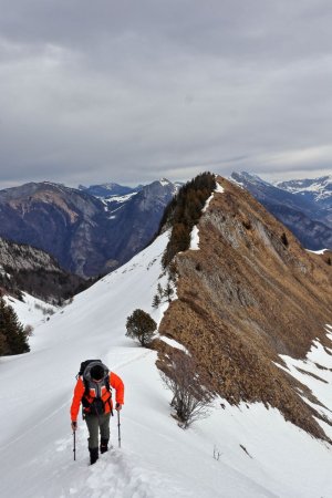 Sur la crête