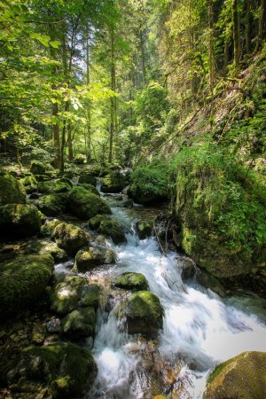 Cascades du haut