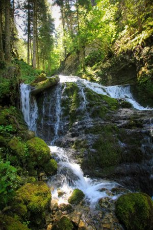 Cascades du haut