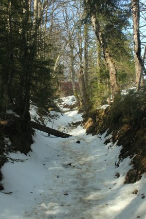 Chemin sous la Plate