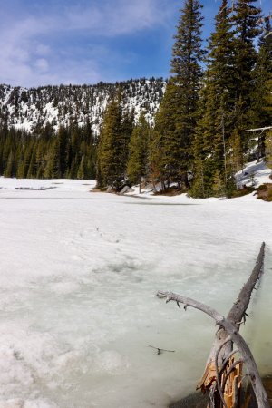 Hoffer Lakes