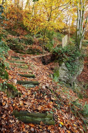 Sentier rive droite