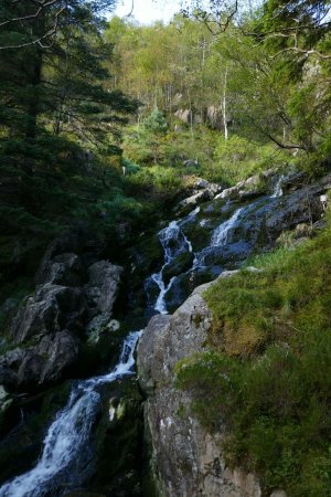 La rivière qui s’écoule depuis Nedrediket au sein de Skredderdalen.