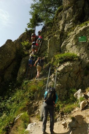 des échelles et beaucoup de monde 