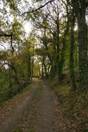 Descente sur Rosières