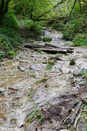 En remontant le Ruisseau de Vau Narbey