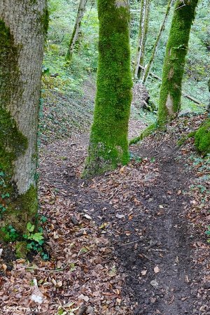 Descente sur le tracé VTT