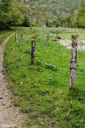 Retour le long du Ruisseau de Raffenot