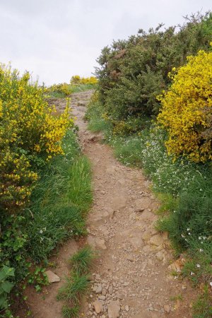 Sur le GR34, en montée vers la pointe du Châtelet.