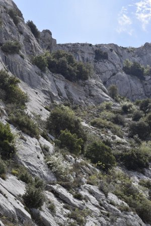 Falaise calcaire sur le tracé jaune