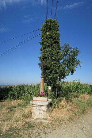 Croix à la cote 678