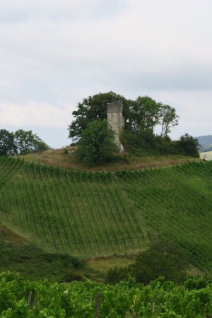 Tour ruinée du Château de Mérignat