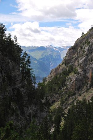 Début du sentier en forêt