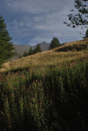 Départ depuis Le Roux, au loin le Bric Froid