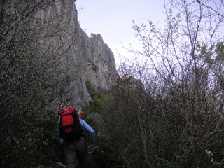 En face Nord des Dentelles Sarrasines