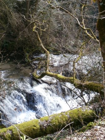 La cascade au niveau des ruines du moulin.