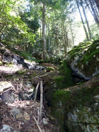 Sentier des Eclapes  vue arriere