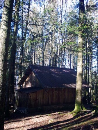 Cabane de chasse au Soualey