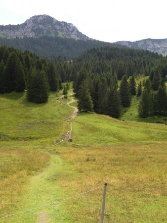 Le départ à travers prés, face à la pointe de Puvat.