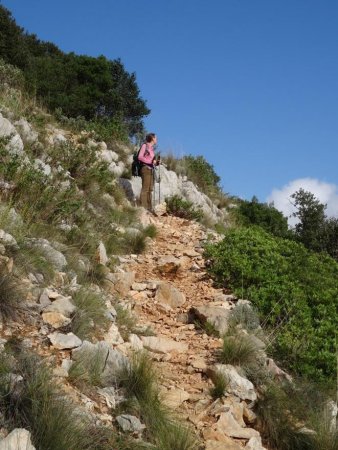 Montée dans le versant sud.