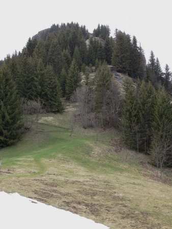 Le ressaut schisteux dans la montée au Treu.