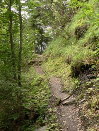 Vue en arrière sur le sentier.