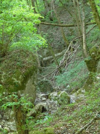 Le lit raviné du ruisseau de Rochefort.