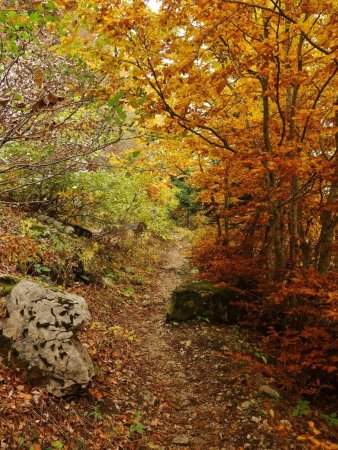 Mosaïque de couleur sur le sentier du Col Vert