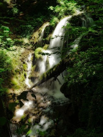 Sur le sentier des Cascades