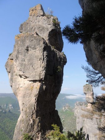 Vase de Chine et vase de Sèvres.