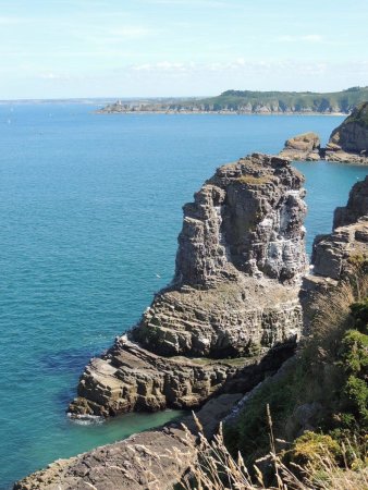 Rocher de la Fauconnière (réserve ornithologique).