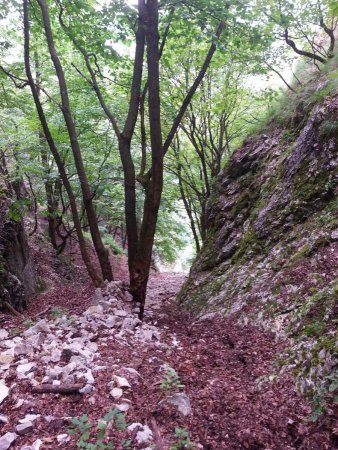 Descente dans la Gorge d’Evorse