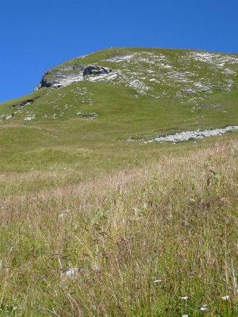 La montée finale à l’Aouille de Criou, dont on aperçoit la croix blanche.