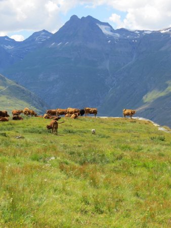 vue sur le signal de Méan Martin et le glacier des roches