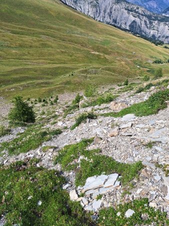 dDscente du petit Clausis sur le vallon de Crouès