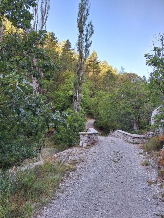 Le joli pont qui traverse le petit Buëch