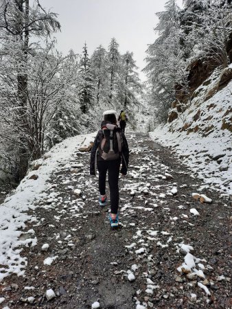 Montée par la piste