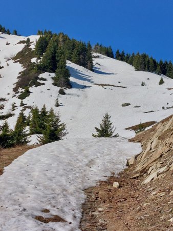 montée enneigée en direction du col