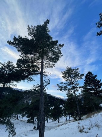 à proximité du col Saint-Antoine