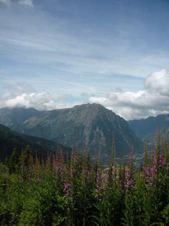 Vue sur Belledonne